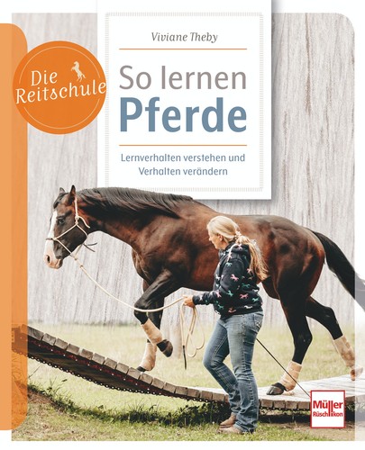 Lernen pferde - lernen,