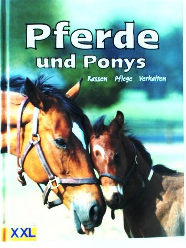 Pferde und ponys rassen - ponys.,