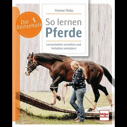 Lernen pferde - so,