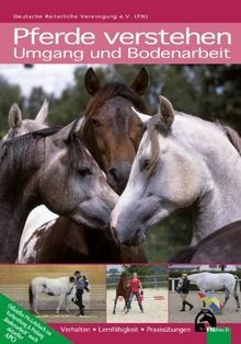 Pferde verstehen umgang und - umgang,