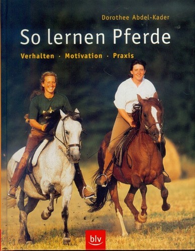 Lernen pferde verhalten - so,